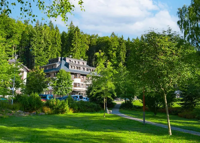Hotel Soyka